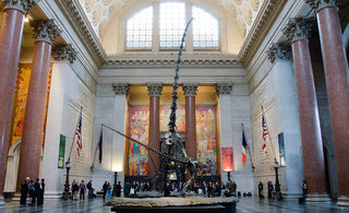 THE BEST MUSEUMS IN NYC