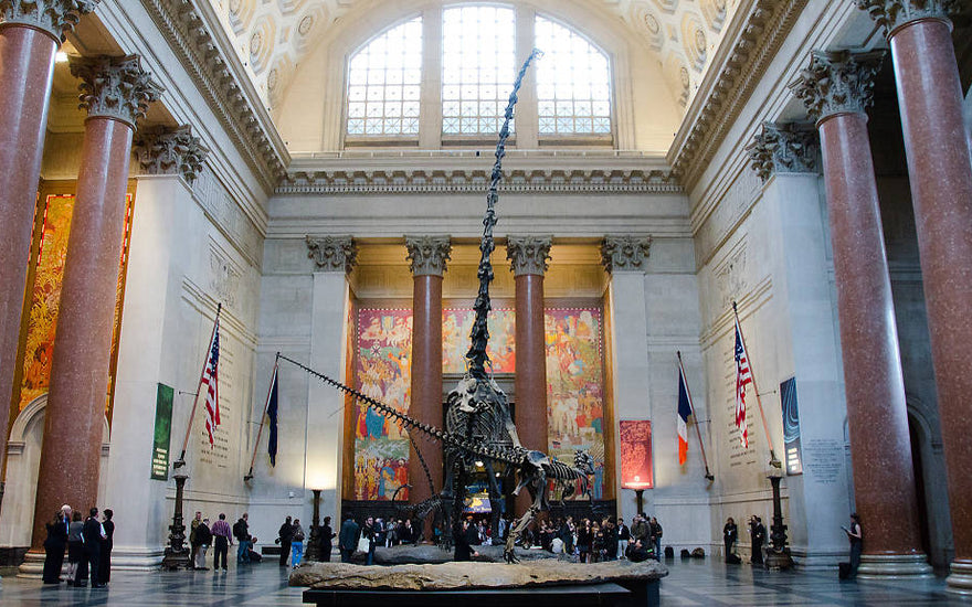 THE BEST MUSEUMS IN NYC