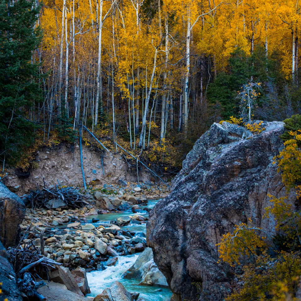 Fall Colors in Aspen Colorado